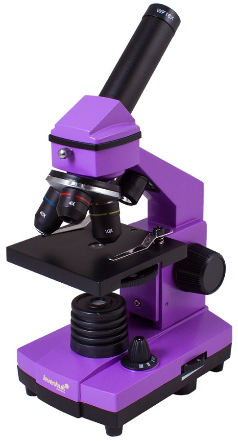  Микроскоп Levenhuk Rainbow 2L PLUS Amethyst\Аметист 69042
